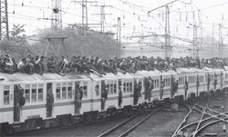 �ε��׽þ� ���ڳ�� ��ö